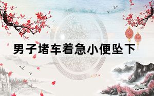 男子堵车着急小便坠下高架桥 这到底是怎么回事？