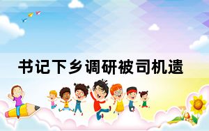 书记下乡调研被司机遗忘路边 背后真相实在令人震惊