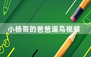 小杨哥的爸爸遛鸟视频 这到底是怎么回事？