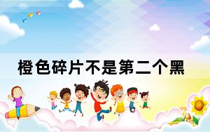 橙色碎片不是第二个黑匣子 背后真相令人震惊