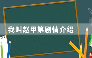 我叫赵甲第剧情介绍 这到底是怎么回事？