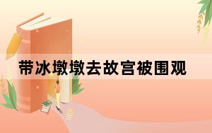 带冰墩墩去故宫被围观 背后真相令人震惊