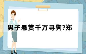 男子悬赏千万寻狗?郑州警方回应 背后真相实在让人惊愕