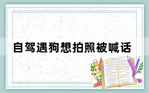自驾遇狗想拍照被喊话:这是狼啊 背后的真相让人始料未及