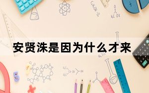 安贤洙是因为什么才来中国任教的 背后真相实在令人震惊