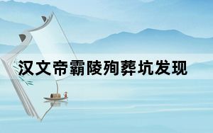 汉文帝霸陵殉葬坑发现大熊猫骨骼 始料未及真相简直太意外了