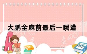 大鹏全麻前最后一瞬遭遇暴击 背后真相令人震惊