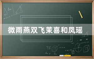 微雨燕双飞茉喜和凤瑶关系介绍 背后真相令人震惊