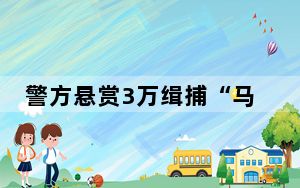 警方悬赏3万缉捕“马冬梅” 背后的真相让人始料未及