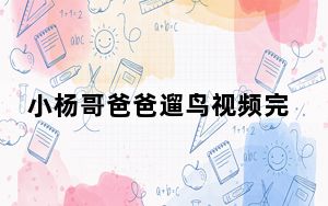 小杨哥爸爸遛鸟视频完整版曝光 背后真相实在让人惊愕