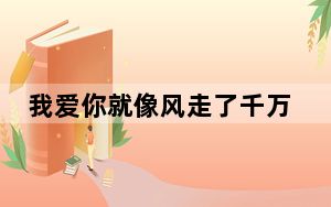 我爱你就像风走了千万里从不问归期歌名叫什么 背后真相实在令人震惊