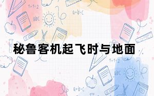 秘鲁客机起飞时与地面车辆相撞致2死 背后的真相让人始料未及