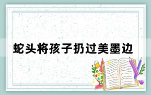 蛇头将孩子扔过美墨边境墙 背后真相让人感到惊讶