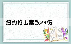 纽约枪击案致29伤 背后真相实在令人震惊