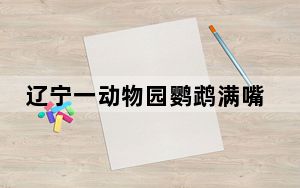 辽宁一动物园鹦鹉满嘴东北味 背后真相让人感到惊讶