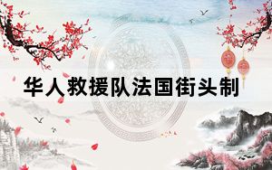 华人救援队法国街头制服歹徒是怎么回事 背后真相实在令人震惊