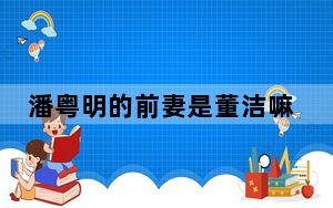 潘粤明的前妻是董洁嘛 背后真相令人震惊