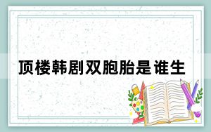 顶楼韩剧双胞胎是谁生的 背后真相实在让人惊愕