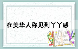 在美华人称见到丫丫感觉非常震撼 这到底是怎么回事？
