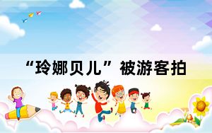 “玲娜贝儿”被游客拍头 背后真相让人感到惊讶