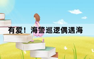 有爱！海警巡逻偶遇海豚好壮观