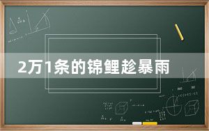 2万1条的锦鲤趁暴雨出逃?宾馆回应 背后真相令人震惊