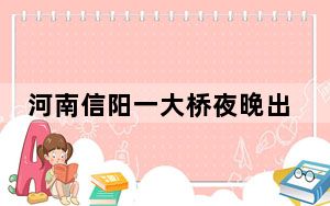 河南信阳一大桥夜晚出现不明飞虫 目前正在调查当中！