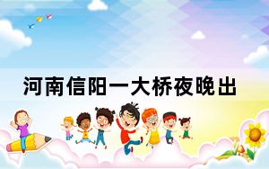 河南信阳一大桥夜晚出现不明飞虫 拍摄者：密密麻麻铺满桥面！