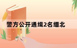 警方公开通缉2名缅北电诈集团头目 这到底是怎么回事？