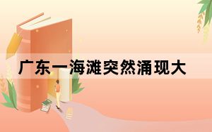 广东一海滩突然涌现大量海虾 这些海虾莫不是在逃避核辐射威胁?