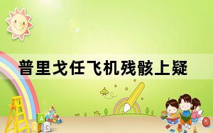 普里戈任飞机残骸上疑有弹孔 或是枪击事件导致