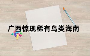 广西惊现稀有鸟类海南虎斑鳽 内幕曝光简直太罕见了