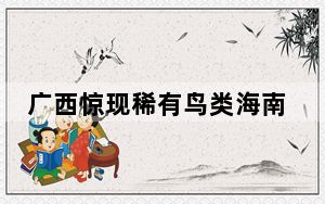 广西惊现稀有鸟类海南虎斑鳽 这到底是怎么回事？