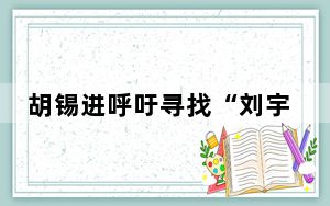 胡锡进呼吁寻找“刘宇轩” 谴责刘宇轩对金融市场的造谣事件!