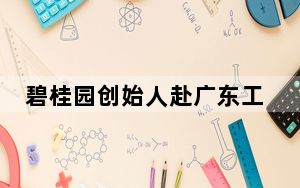 碧桂园创始人赴广东工地调研 背后真相实在令人震惊