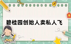 碧桂园创始人卖私人飞机偿债 背后真相实在令人震惊