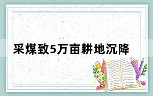采煤致5万亩耕地沉降?官方回应：情况属实