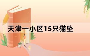 天津一小区15只猫坠亡 警方回应 驱赶抓猫过程中受惊跃下窗户！