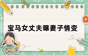 宝马女丈夫曝妻子情变 收27万后失联 马诺个人资料简介曝光