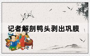 记者解剖鸭头剥出巩膜:反光质感 巩膜比鸭眼大了三四倍左右