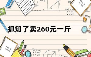 抓知了卖260元一斤10天赚万元 野生知了竟然成“摇钱树”！