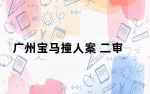 广州宝马撞人案 二审维持原判 判处死刑