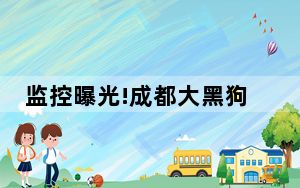 监控曝光!成都大黑狗扑倒撕咬2岁女孩逃走?CT显示肾挫裂伤