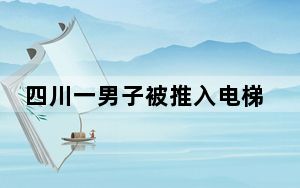 四川一男子被推入电梯井坠亡 目击者:死者走错包间 推人者曾被劝阻