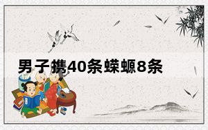 男子携40条蝾螈8条蛇3只蜥蜴入境 背后真相令人震惊