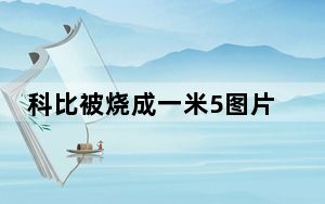 科比被烧成一米5图片 恐怖至极内幕简直太可怕了