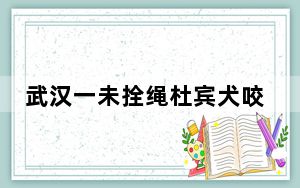 武汉一未拴绳杜宾犬咬人被没收 这到底是怎么回事？