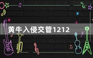 黄牛入侵交管12123系统获刑 背后真相实在令人震惊