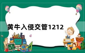 黄牛入侵交管12123系统获刑 这到底是怎么回事？