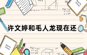 许文婷和毛人龙现在还在一起吗